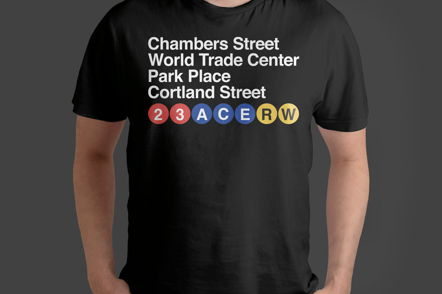 Manhattan & Brooklyn Neighborhoods T-Shirt – NYC Subway Inspired