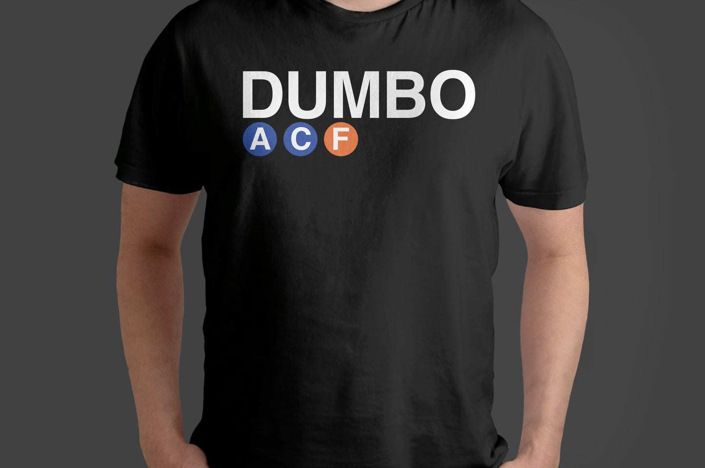 Manhattan & Brooklyn Neighborhoods T-Shirt – NYC Subway Inspired