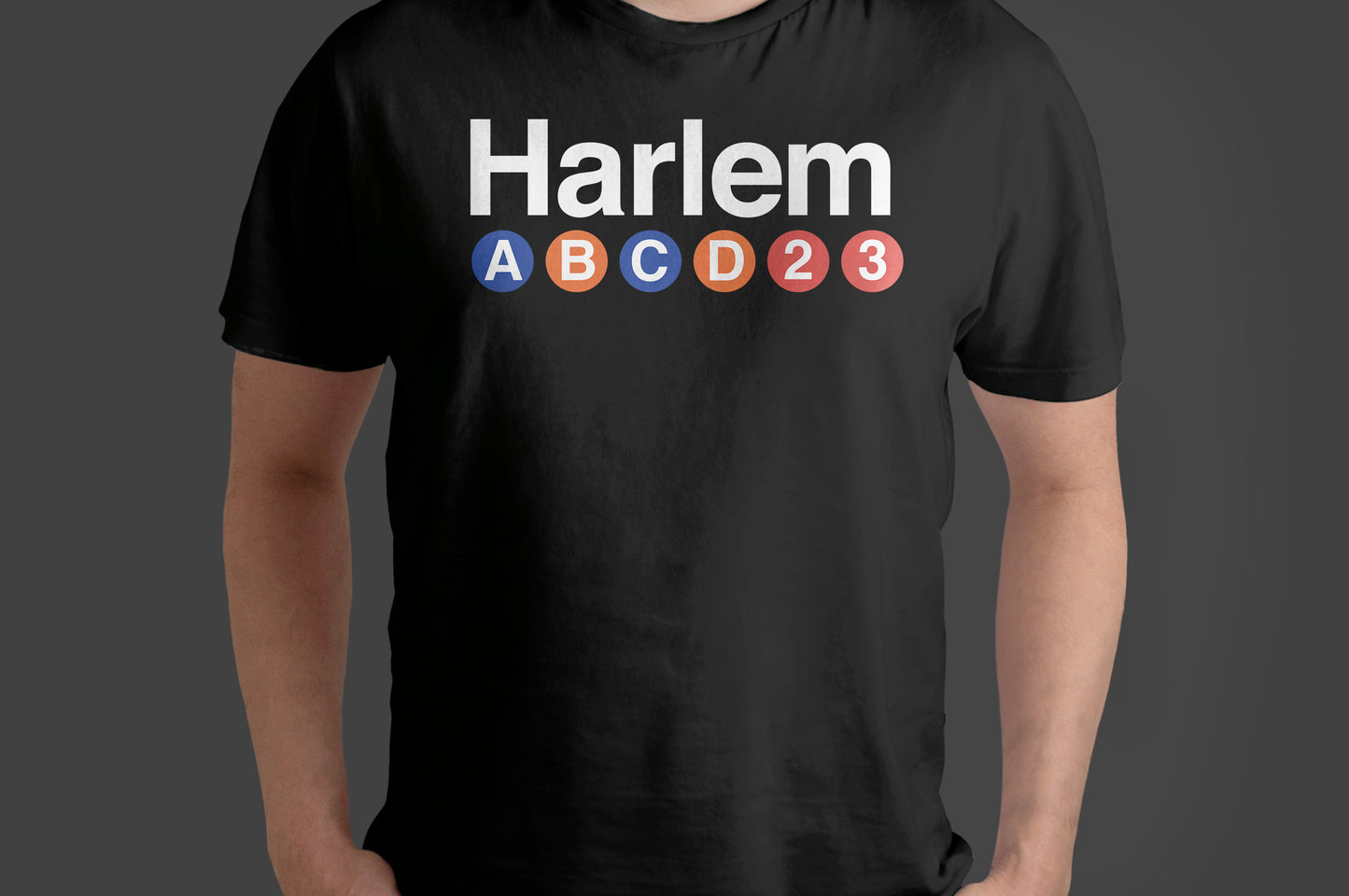 Manhattan & Brooklyn Neighborhoods T-Shirt – NYC Subway Inspired