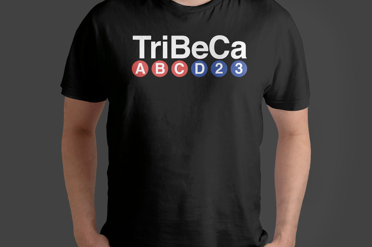Manhattan & Brooklyn Neighborhoods T-Shirt – NYC Subway Inspired